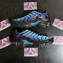 Air Max Tn 1 “Nature Blue' Pronta Entrega